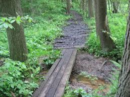 Rezerwat przyrody Łęg nad Swelinią